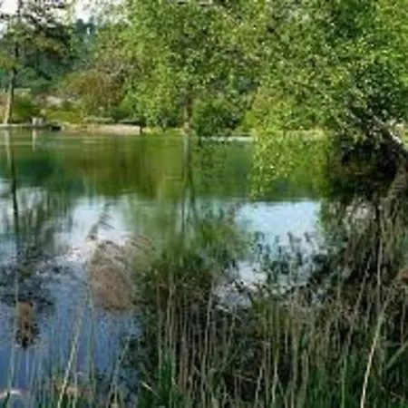 Cosy Au Coeur De La Nature