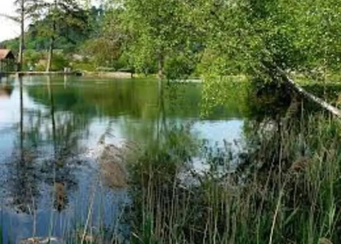 Cosy Au Coeur De La Nature